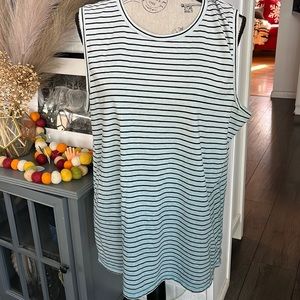 The North Face Womens  size XL Ombré Bluegreen striped oversized wide tank top